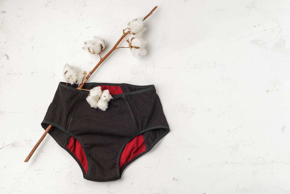 culotte-menstruelle