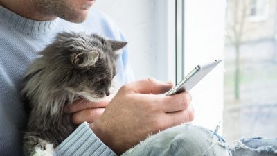 chat-homme
