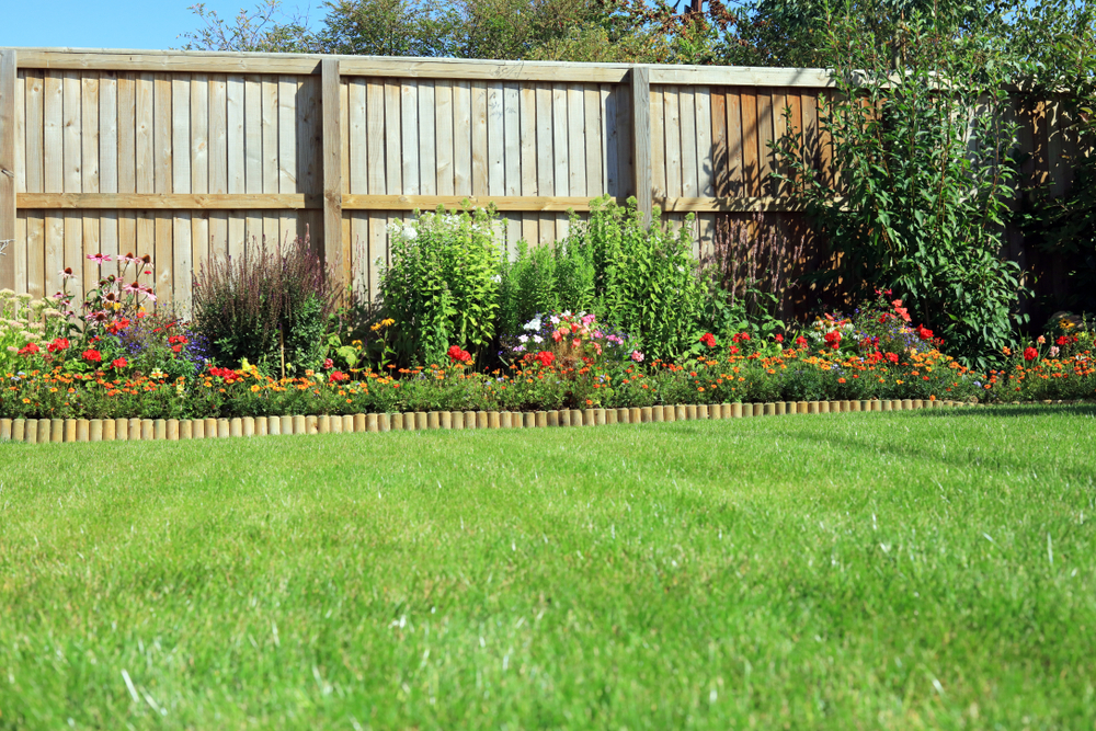 cloture jardin