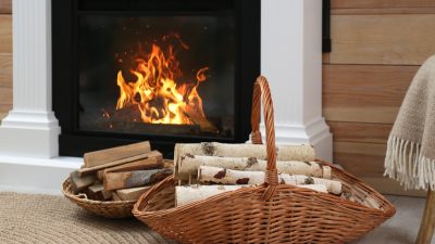 poele bois de chauffage buches